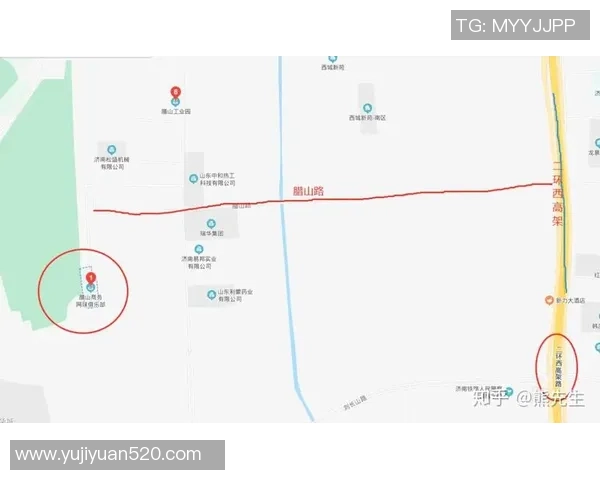 重庆网球队与北京网球队赛后复盘分析比赛节奏与战术对比