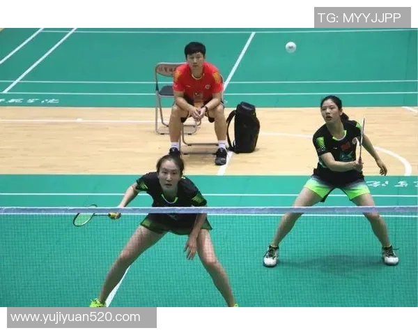 北京羽毛球队总决赛表现分析与状态评估全景回顾